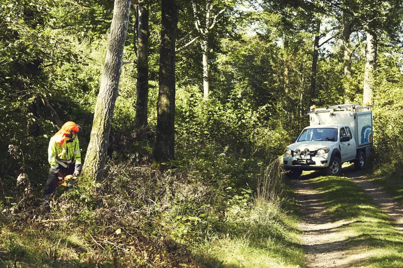 Man som fäller ett träd